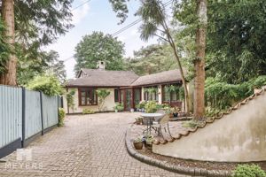 Photo 2- click for photo gallery